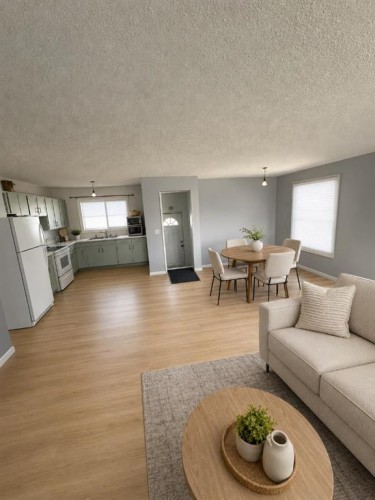 1219 68 Street Ne, Calgary, AB - Indoor Photo Showing Living Room