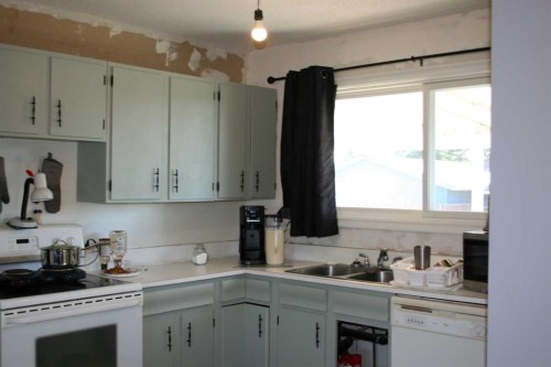 1219 68 Street Ne, Calgary, AB - Indoor Photo Showing Kitchen With Double Sink