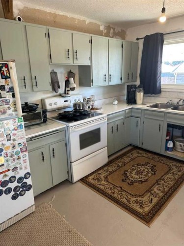1219 68 Street Ne, Calgary, AB - Indoor Photo Showing Kitchen With Double Sink