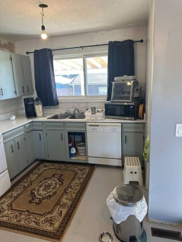 1219 68 Street Ne, Calgary, AB - Indoor Photo Showing Kitchen With Double Sink