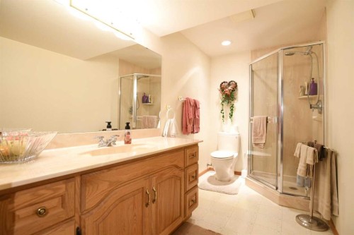 168 Templewood Drive Ne, Calgary, AB - Indoor Photo Showing Bathroom