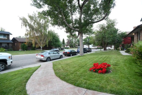 168 Templewood Drive Ne, Calgary, AB - Outdoor
