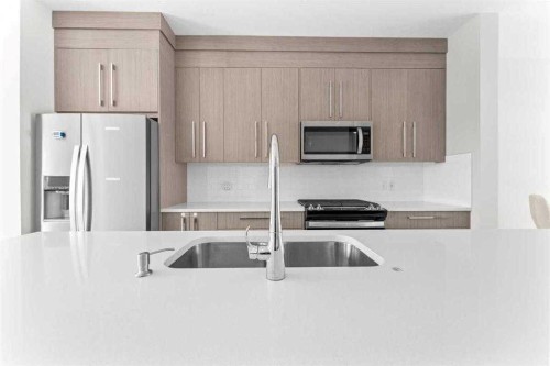 919 Walgrove Boulevard Se, Calgary, AB - Indoor Photo Showing Kitchen With Stainless Steel Kitchen With Upgraded Kitchen