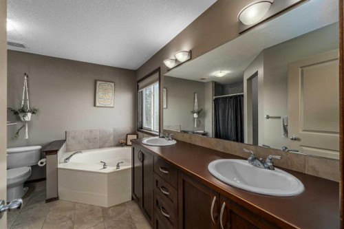 173 Pantego Road Nw, Calgary, AB - Indoor Photo Showing Bathroom