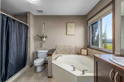 173 Pantego Road Nw, Calgary, AB - Indoor Photo Showing Bathroom