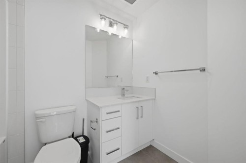2218-151 Skyview Bay Ne, Calgary, AB - Indoor Photo Showing Bathroom