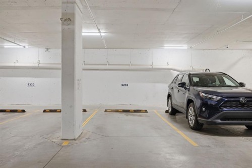 2218-151 Skyview Bay Ne, Calgary, AB - Indoor Photo Showing Garage