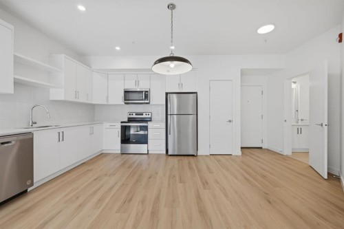 2218-151 Skyview Bay Ne, Calgary, AB - Indoor Photo Showing Kitchen With Stainless Steel Kitchen With Upgraded Kitchen
