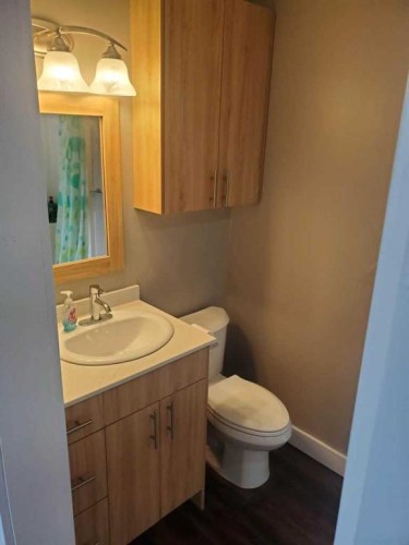 10301 103Rd Street, High Level, AB - Indoor Photo Showing Bathroom