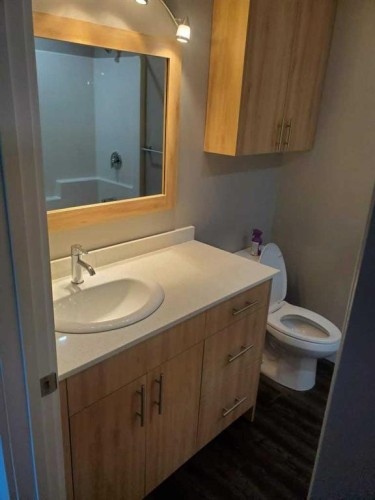 10301 103Rd Street, High Level, AB - Indoor Photo Showing Bathroom