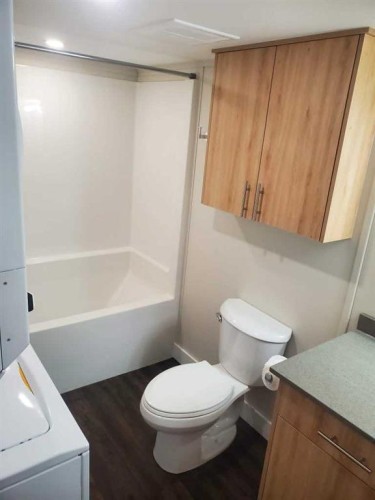 10301 103Rd Street, High Level, AB - Indoor Photo Showing Bathroom