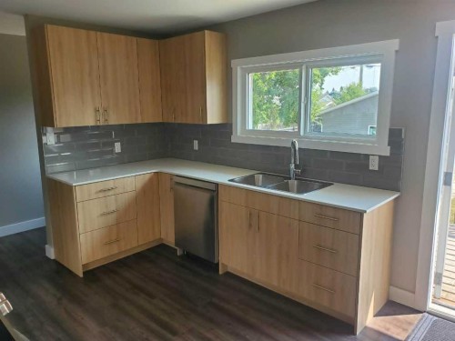 10301 103Rd Street, High Level, AB - Indoor Photo Showing Kitchen With Double Sink