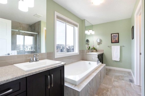 87 Baywater Rise Sw, Airdrie, AB - Indoor Photo Showing Bathroom
