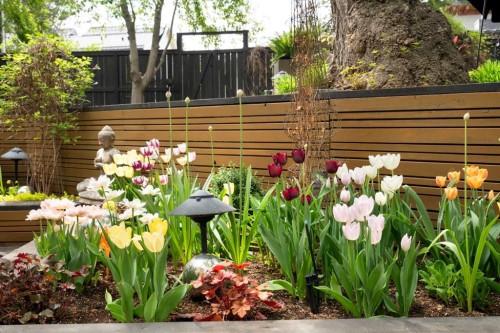 1215 Sifton Boulevard Sw, Calgary, AB - Outdoor