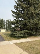 607 Madison Drive Irricana, AB T0M 1B0
