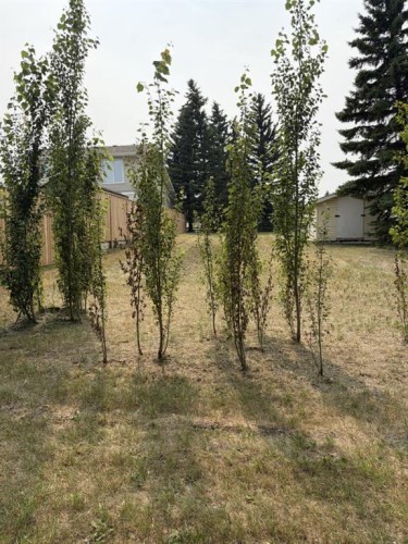 607 Madison Drive, Irricana, AB 