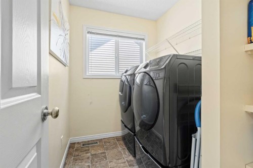 52 Copperfield Close Se, Calgary, AB - Indoor Photo Showing Laundry Room