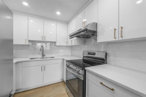 155 Sandarac Way Nw, Calgary, AB - Indoor Photo Showing Kitchen With Double Sink With Upgraded Kitchen