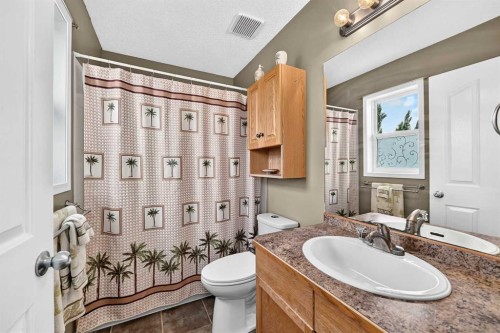 27 Erin Meadow Crescent Se, Calgary, AB - Indoor Photo Showing Bathroom