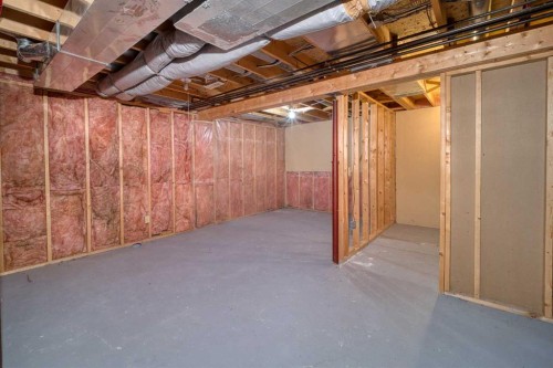 15 Harvest Glen Heights Ne, Calgary, AB - Indoor Photo Showing Basement