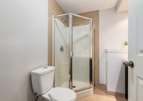 176 Mapleburn Drive Se, Calgary, AB - Indoor Photo Showing Bathroom