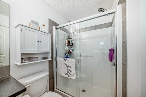 43 Masters Square Se, Calgary, AB - Indoor Photo Showing Bathroom