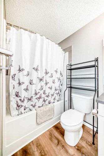 43 Masters Square Se, Calgary, AB - Indoor Photo Showing Bathroom