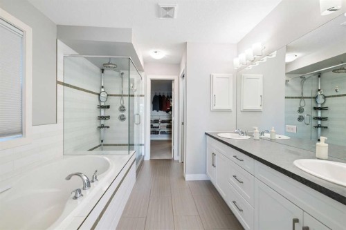 94 Masters Mews Se, Calgary, AB - Indoor Photo Showing Bathroom
