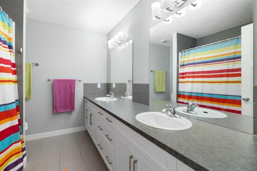 94 Masters Mews Se, Calgary, AB - Indoor Photo Showing Bathroom