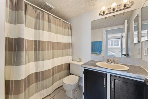 79 Templegreen Place Ne, Calgary, AB - Indoor Photo Showing Bathroom
