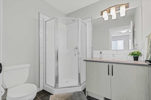 162 Chinook Gate Boulevard Sw, Airdrie, AB - Indoor Photo Showing Bathroom