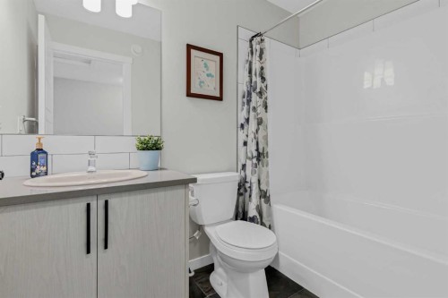 162 Chinook Gate Boulevard Sw, Airdrie, AB - Indoor Photo Showing Bathroom
