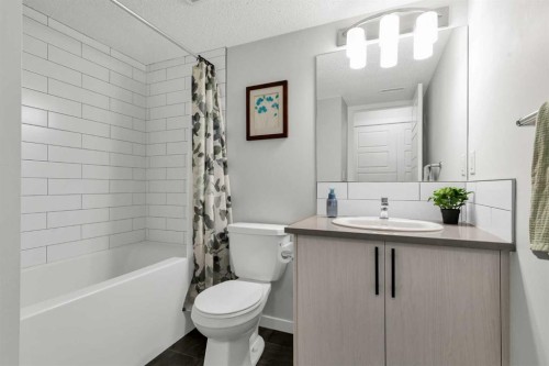 162 Chinook Gate Boulevard Sw, Airdrie, AB - Indoor Photo Showing Bathroom