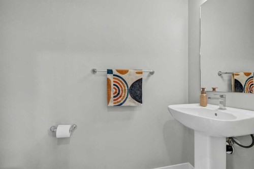 162 Chinook Gate Boulevard Sw, Airdrie, AB - Indoor Photo Showing Bathroom