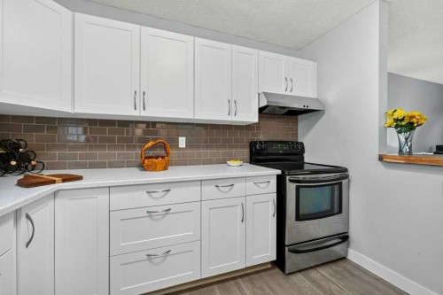 3046 32A Avenue Se, Calgary, AB - Indoor Photo Showing Kitchen