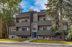 303-730 2 Avenue NW Calgary, AB T2N 0E4