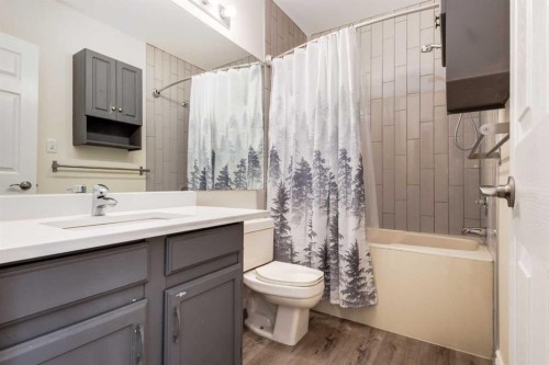 303-730 2 Avenue Nw, Calgary, AB - Indoor Photo Showing Bathroom