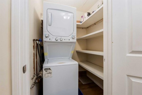 303-730 2 Avenue Nw, Calgary, AB - Indoor Photo Showing Laundry Room