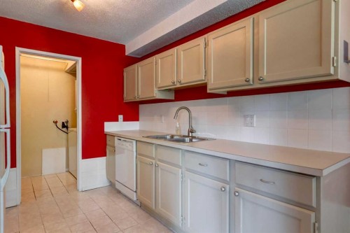 20-821 3 Avenue Sw, Calgary, AB - Indoor Photo Showing Kitchen With Double Sink