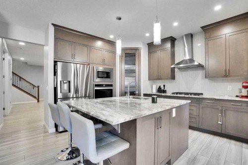 50 Saddlestone Place Ne, Calgary, AB - Indoor Photo Showing Kitchen With Stainless Steel Kitchen With Upgraded Kitchen