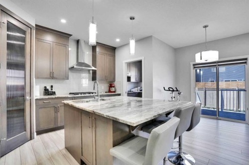 50 Saddlestone Place Ne, Calgary, AB - Indoor Photo Showing Kitchen With Double Sink With Upgraded Kitchen