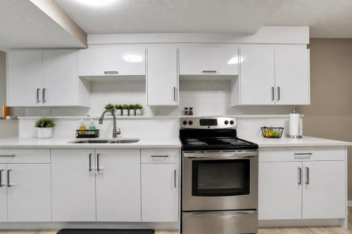 115 Abingdon Crescent Ne, Calgary, AB - Indoor Photo Showing Kitchen With Stainless Steel Kitchen With Double Sink With Upgraded Kitchen