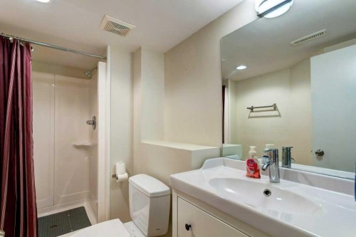 48 Hillary Crescent Sw, Calgary, AB - Indoor Photo Showing Bathroom
