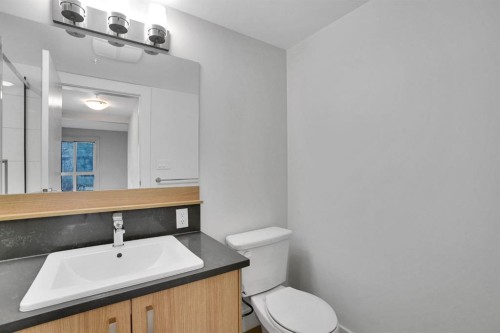 203-510 Edmonton Trail Ne, Calgary, AB - Indoor Photo Showing Bathroom