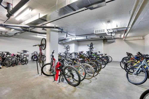 203-510 Edmonton Trail Ne, Calgary, AB - Indoor Photo Showing Garage
