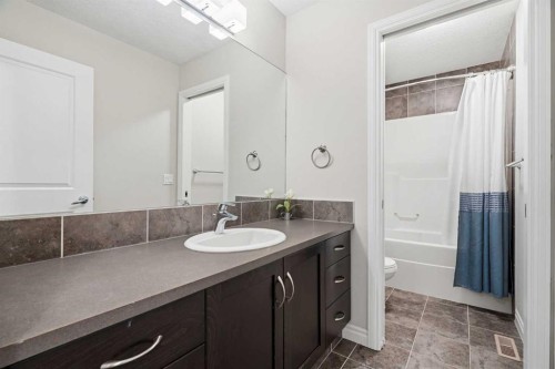 44 Cimarron Springs Circle, Okotoks, AB - Indoor Photo Showing Bathroom