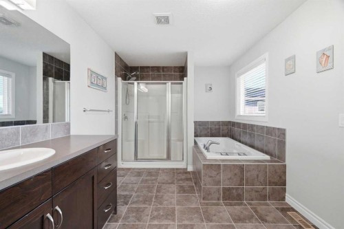 44 Cimarron Springs Circle, Okotoks, AB - Indoor Photo Showing Bathroom