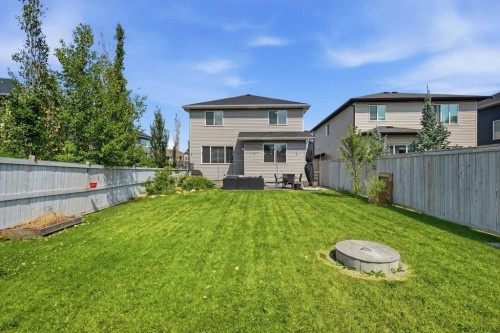 44 Cimarron Springs Circle, Okotoks, AB - Outdoor With Backyard