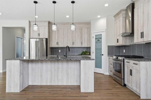 44 Cimarron Springs Circle, Okotoks, AB - Indoor Photo Showing Kitchen With Upgraded Kitchen