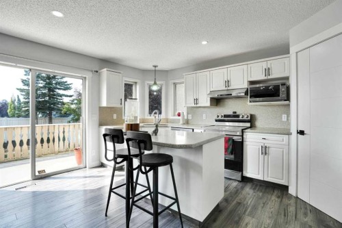 101 Douglas Ridge Circle Se, Calgary, AB - Indoor Photo Showing Kitchen With Double Sink